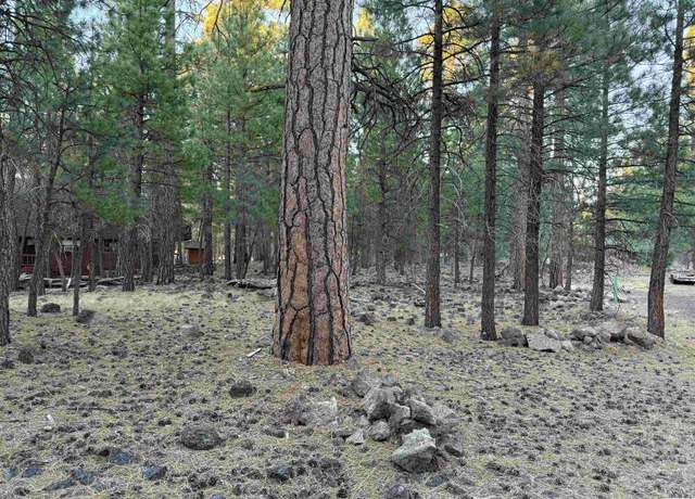 Property at 00 Magnolia Way, Susanville, CA 96130