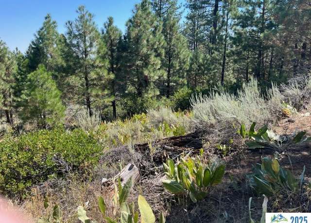 Property at 724 Acres Rd, Alturas, CA 96101