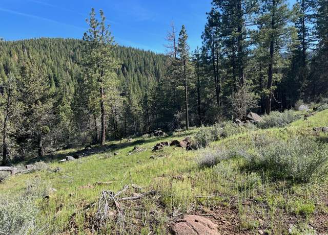 Photo of 00 Clarks Valley Rd, Madeline, CA 96119