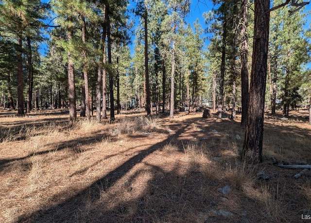 Property at 0 Almond Way, Susanville, CA 96130