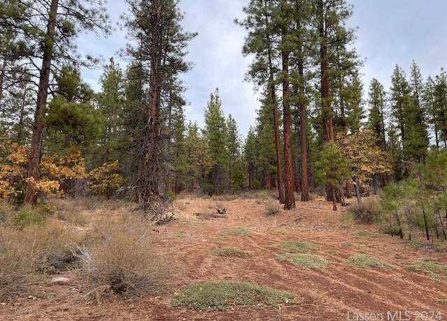 Property at 000-000 Peak Rd, Susanville, CA 96130