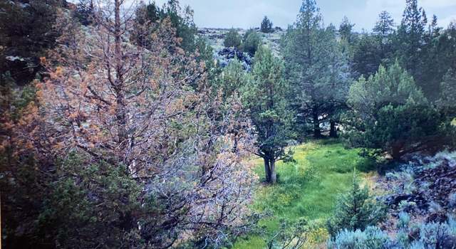 Photo of 501-450 Hwy 395, Litchfield, CA 96117