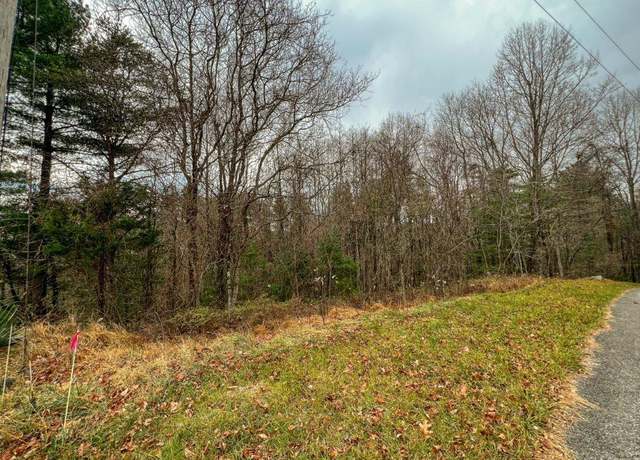 Property at Lot 115 Old Hollow Trl #115, Fancy Gap, VA 24328