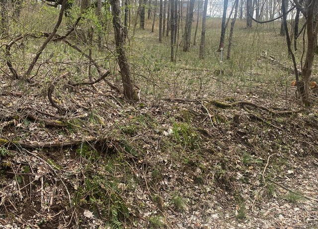 Property at 0 Laurelwood Acres #0, Cedar Bluff, VA 24609