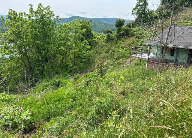 Property at 231 Scenic Rd #0, Raven, VA 24639