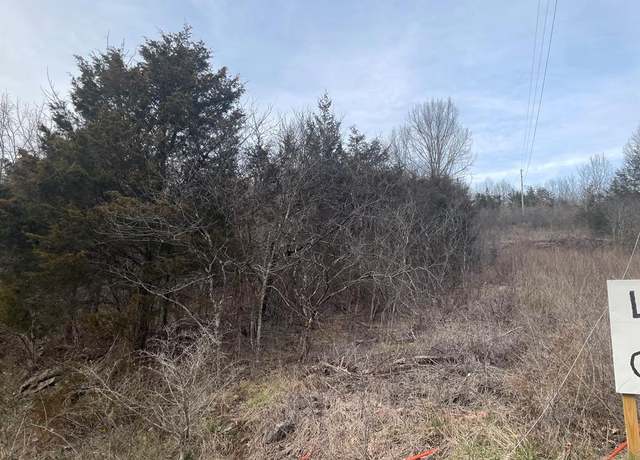 Property at TBD Martin Farm Rd Unit 1-6, Cedar Bluff, VA 24609
