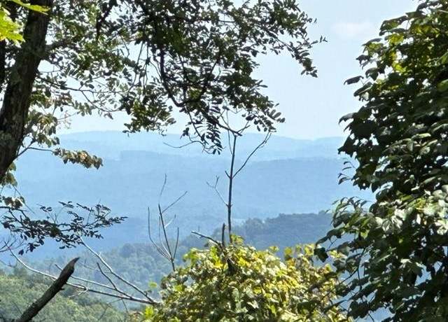 Property at TBD Black Rock Mountain Ln Unit 52-2-8, Independence, VA 24348