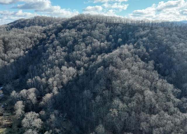 Property at 0 Goss Rd #219, Bluefield, VA 24605