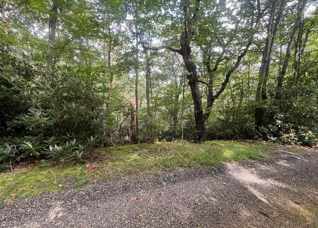 Property at TBD Powhatan Trail Lots 1,5a,& 6 Unit 1,5A,6, Fancy Gap, VA 24328