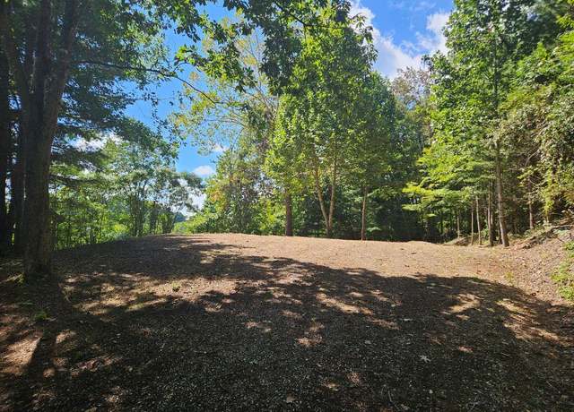 Property at 110-114 Lawson Ln Unit 110 thru 114, Cedar Bluff, VA 24609