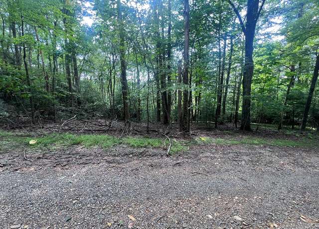 Property at TBD Powhatan Trail Lots 41,42,43 Unit 41,42,43, Fancy Gap, VA 24328