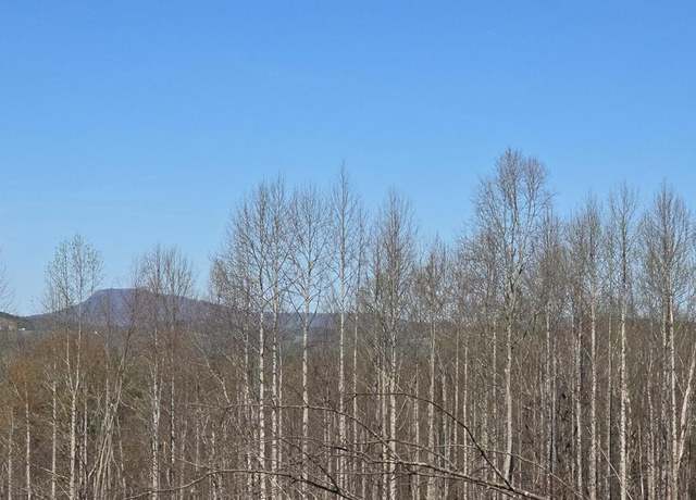 Property at TBD Red Roof Ln Unit 7/8, Laurel Fork, VA 24352