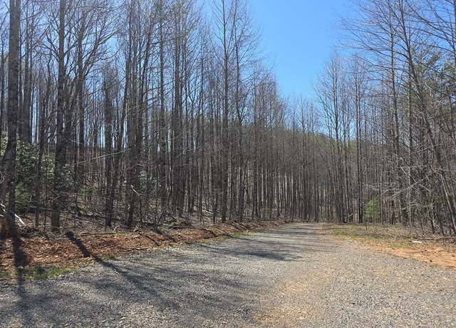 Property at TBD Red Roof Ln #6, Laurel Fork, VA 24352