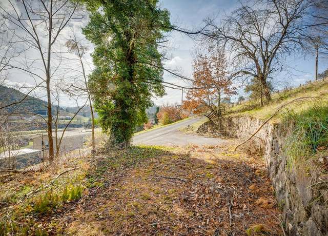 Property at TBD Ponderosa Heights Rd Unit 1-4, Cedar Bluff, VA 24609