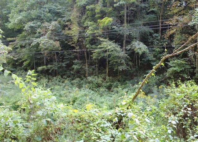 Property at TBD Campbell Hollow Rd #47, Honaker, VA 24260