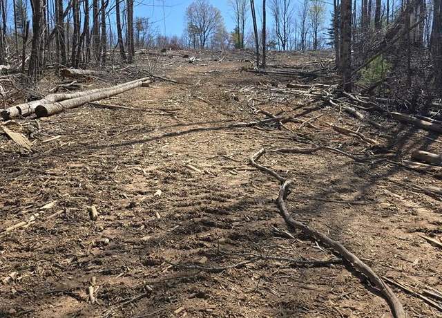Property at TBD Red Roof Ln #5, Laurel Fork, VA 24352