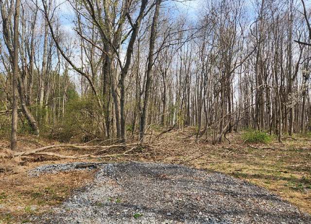 Property at TBD Allis Chalmers Rd Unit 14F, Rural Retreat, VA 24368