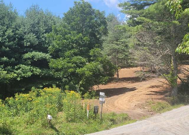 Property at TBD Pine Branch Rd #0, Mouth Of Wilson, VA 24363