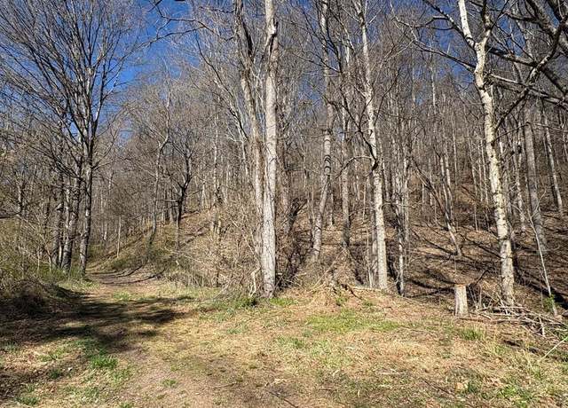 Property at TBD Clark St Unit 6, 23B, Saltville, VA 24370