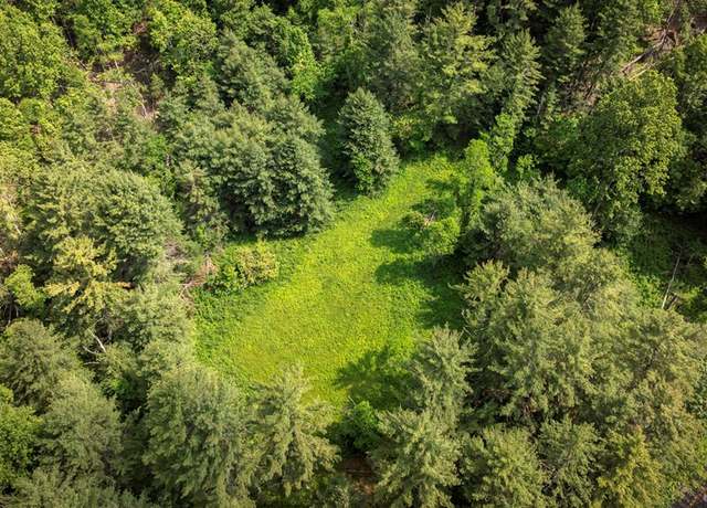 Property at TBD Old Bridle Creek Rd Unit 32-A-46A, Independence, VA 24348