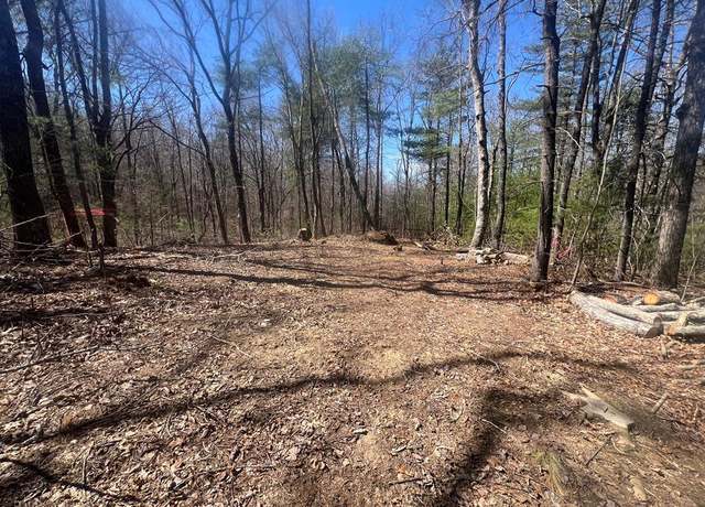 Property at TBD Forest Green Dr #37, VA 24333