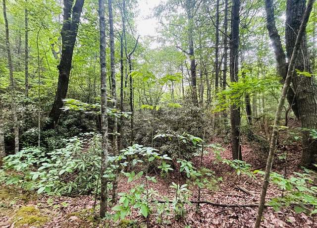 Property at TBD Back Creek Ln #30, Claudville, VA 24076