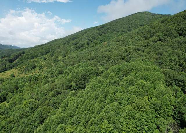 Property at TBD Allison Gap Rd #00, Saltville, VA 24370