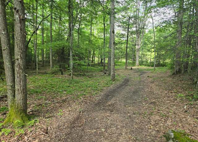 Property at TBD Poor Valley Rd #12, Ceres, VA 24315