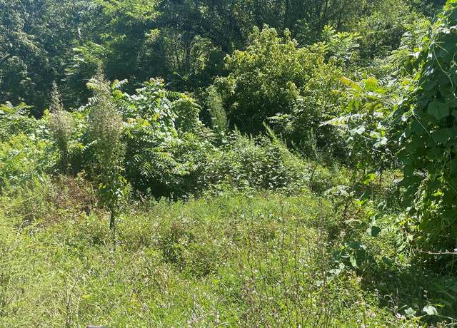 Property at TBD Big Creek Rd #0, Richlands, VA 24641
