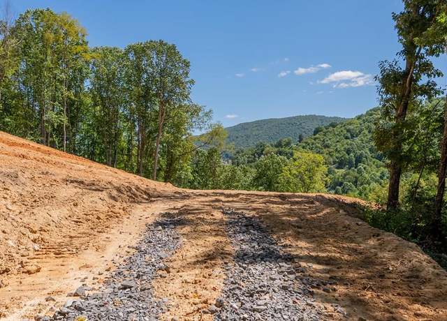 Property at Lot 20 Clear Fork Creek Rd #20, Bastian, VA 24314