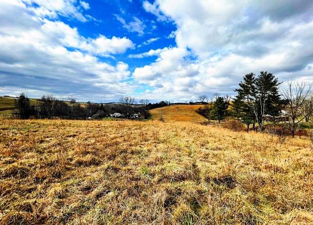 Property at .72 ac S Petunia Rd #1, Wytheville, VA 24382