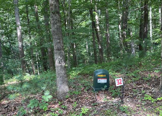 Property at Lot 32 Reserve Trl #32, Stuart, VA 24171