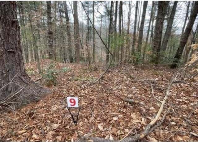 Property at Lot 9 Woods Haven Ln #9, Stuart, VA 24171