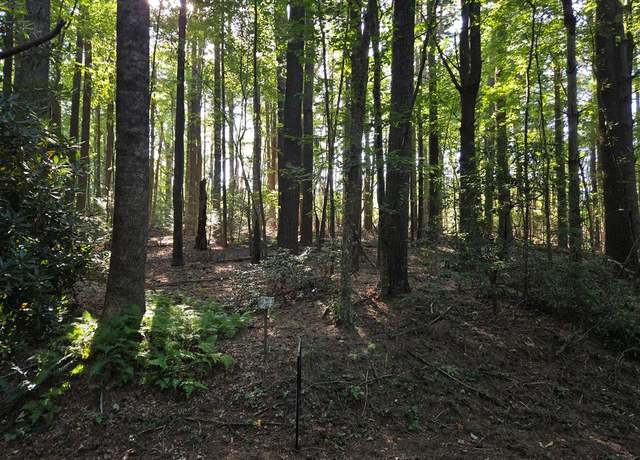 Property at TBD Evergreen Trl #24, Fancy Gap, VA 24328