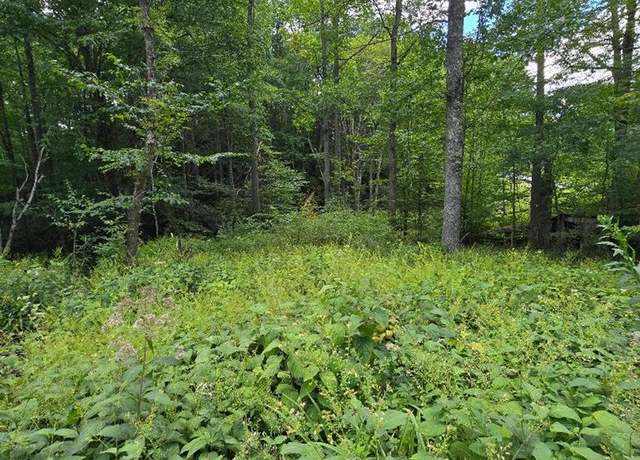 Property at TBD Lost Lake Rd #0, Troutdale, VA 24378