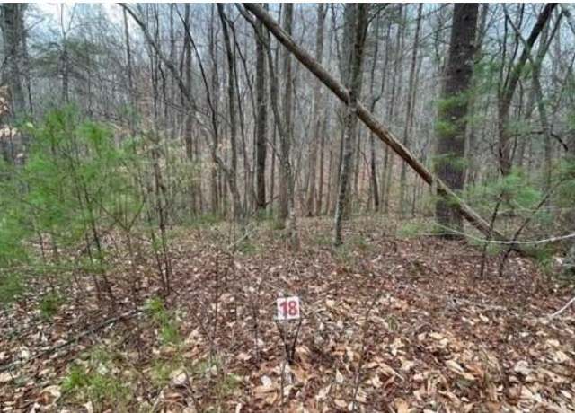 Property at Lot 18 Woods Haven Ln #18, Stuart, VA 24171