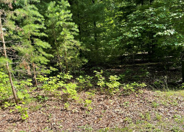 Property at Lot 22 Woods Haven Ln #22, Stuart, VA 24171