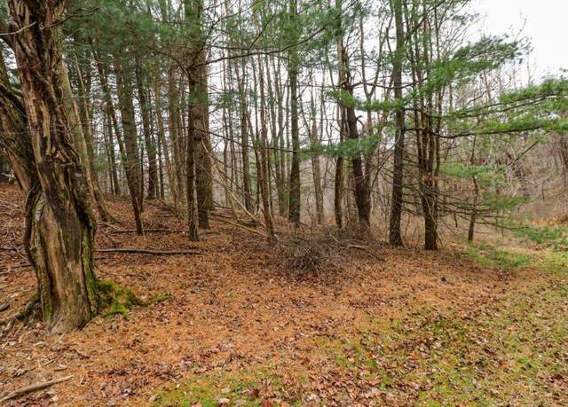 Property at Lot 67 Southern View Trl #67, Fancy Gap, VA 24328
