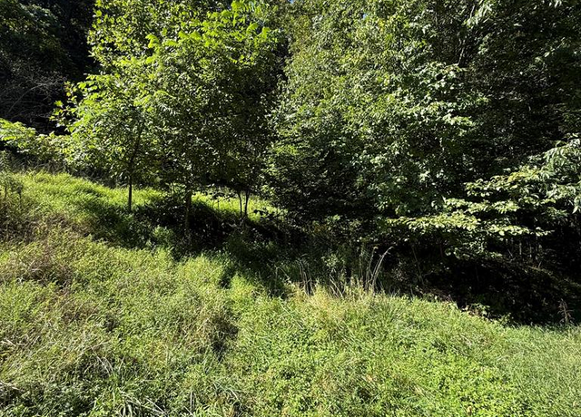 Property at TBD Shuler Hollow Rd #0, Chilhowie, VA 24319