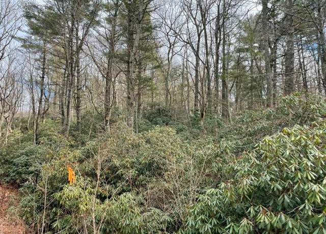 Property at TBD Cascade Mtn Unit TBD, Fancy Gap, VA 24328