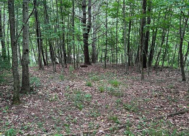 Property at 81 Timberline Dr Unit 29a-a-99a, Troutdale, VA 24378