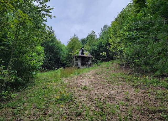Property at TBD Spring Valley Rd #0, Elk Creek, VA 24326