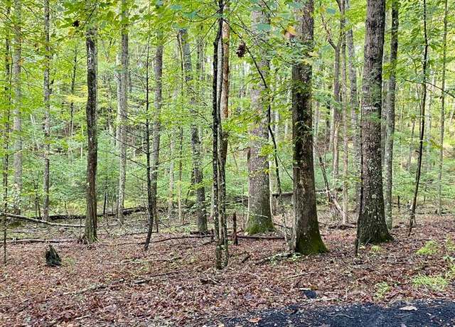 Property at 35 Meridian Ln #34, Hillsville, VA 24333