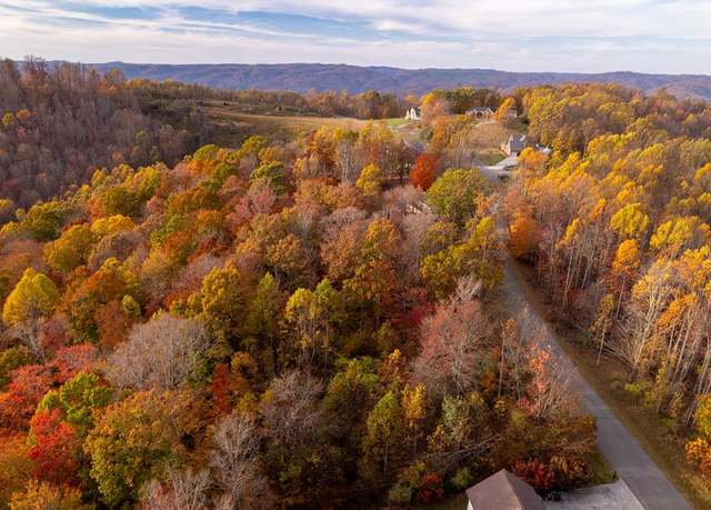 Property at TBD Airport Road Lot 6 #6, Cedar Bluff, VA 24609