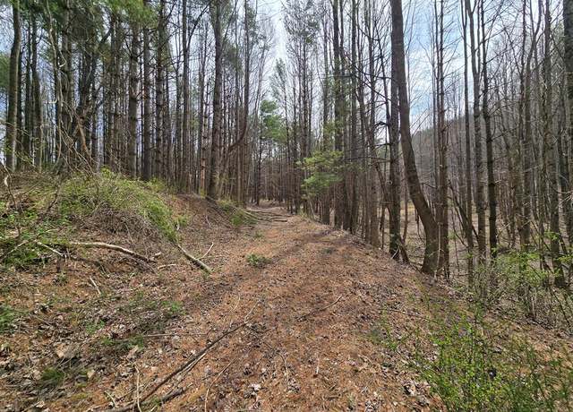 Property at TBD Breezy Ridge Rd Unit N/A, Woodlawn, VA 24381
