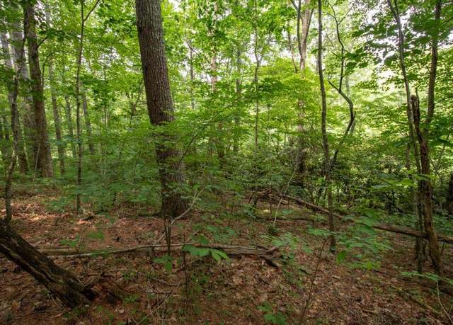 Property at Lot 28 Manor House Dr #28, Laurel Fork, VA 24352