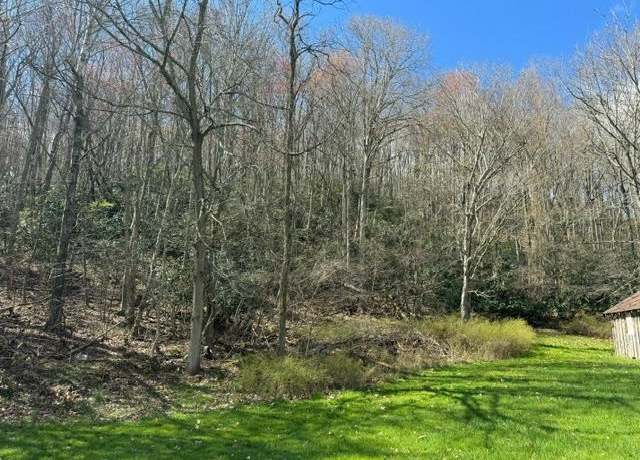 Property at TBD Broadway Rd Unit 57-26B, Wytheville, VA 24382