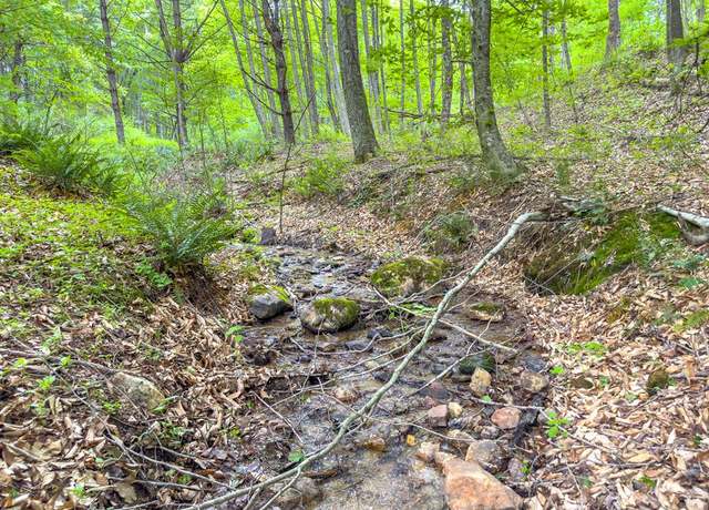 Property at 34 Acres Apache Rd #1, Woodlawn, VA 24381