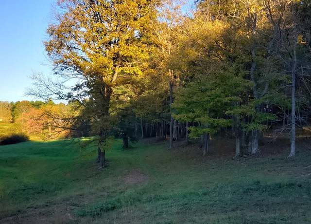 Property at TBD Crestview Mountain Dr Lot 47 #47, Sparta, NC 28675