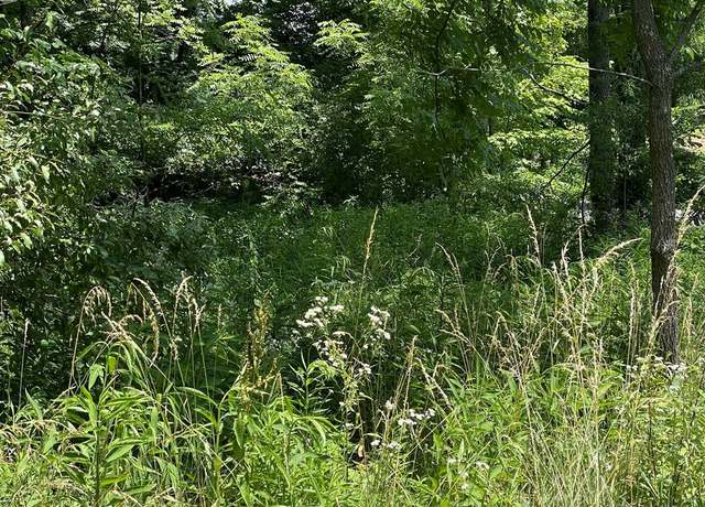 Property at TBD College Estates Rd Unit 1-7, 36, Cedar Bluff, VA 24609